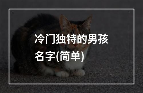 冷门独特的男孩名字(简单)