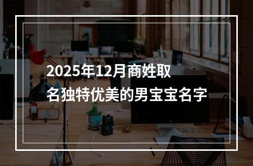 2025年12月商姓取名独特优美的男宝宝名字