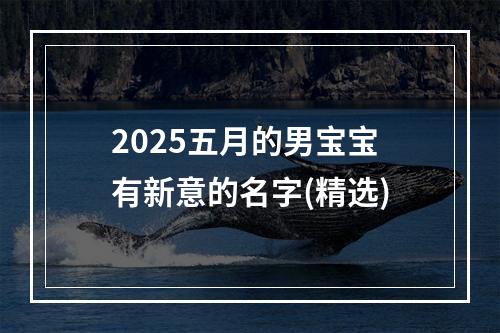 2025五月的男宝宝有新意的名字(精选)