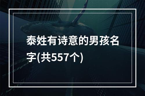 泰姓有诗意的男孩名字(共557个)