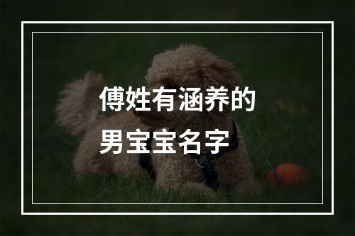 傅姓有涵养的男宝宝名字