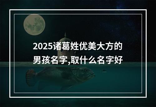 2025诸葛姓优美大方的男孩名字,取什么名字好