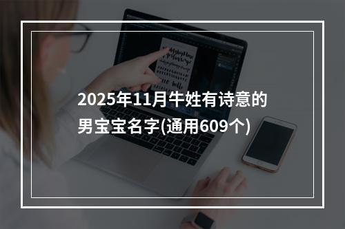 2025年11月牛姓有诗意的男宝宝名字(通用609个)