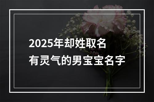 2025年却姓取名有灵气的男宝宝名字
