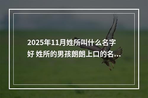 2025年11月姓所叫什么名字好 姓所的男孩朗朗上口的名字