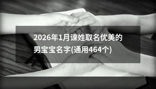 2026年1月谏姓取名优美的男宝宝名字(通用464个)