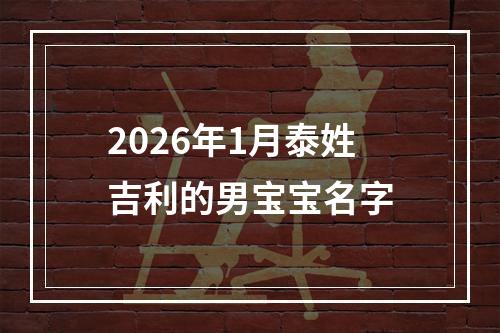 2026年1月泰姓吉利的男宝宝名字