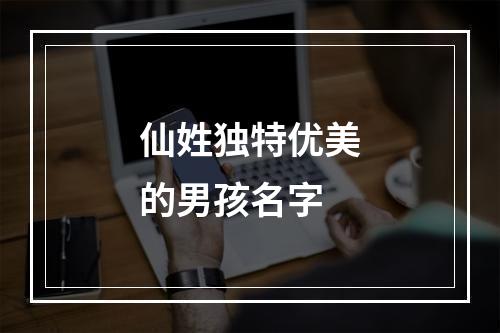 仙姓独特优美的男孩名字