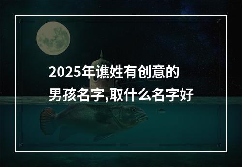 2025年谯姓有创意的男孩名字,取什么名字好
