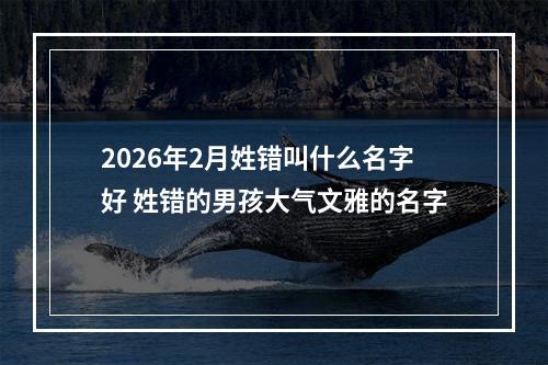 2026年2月姓错叫什么名字好 姓错的男孩大气文雅的名字