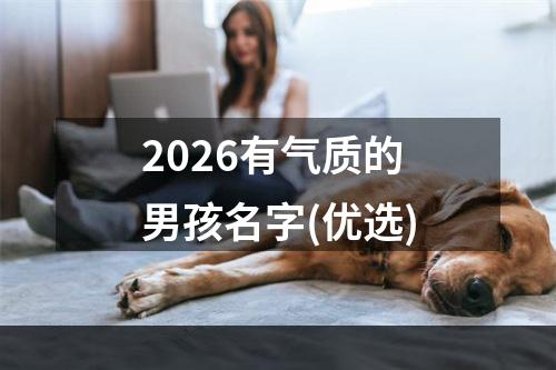 2026有气质的男孩名字(优选)