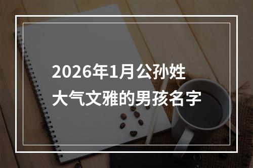 2026年1月公孙姓大气文雅的男孩名字