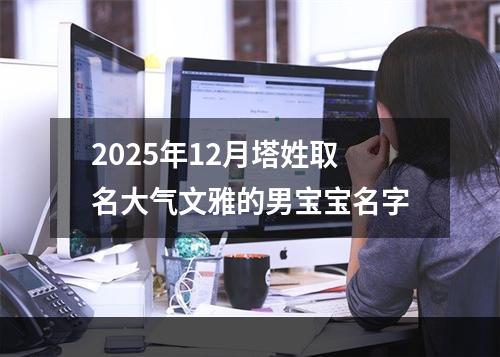 2025年12月塔姓取名大气文雅的男宝宝名字