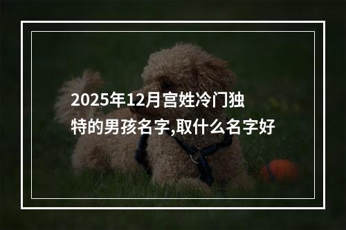 2025年12月宫姓冷门独特的男孩名字,取什么名字好