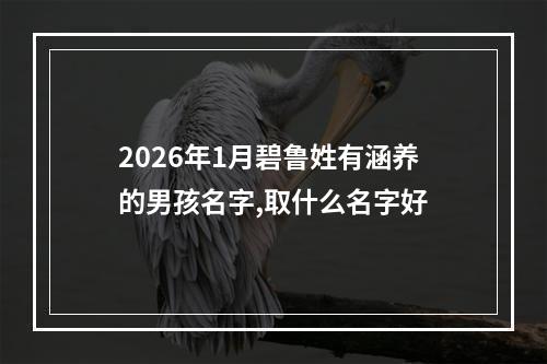 2026年1月碧鲁姓有涵养的男孩名字,取什么名字好