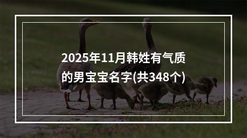 2025年11月韩姓有气质的男宝宝名字(共348个)