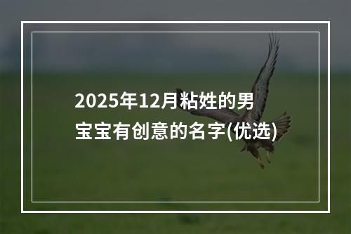 2025年12月粘姓的男宝宝有创意的名字(优选)