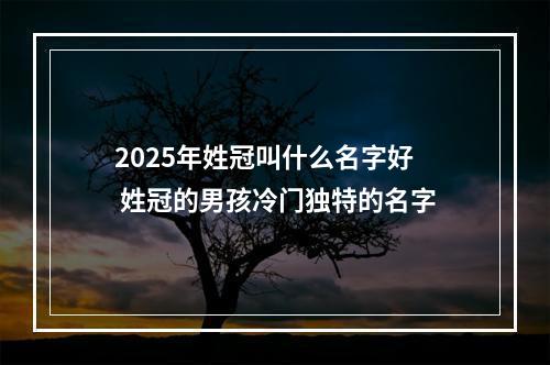 2025年姓冠叫什么名字好 姓冠的男孩冷门独特的名字