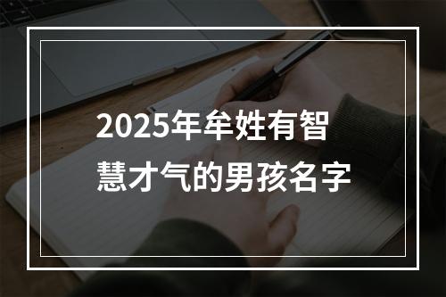 2025年牟姓有智慧才气的男孩名字