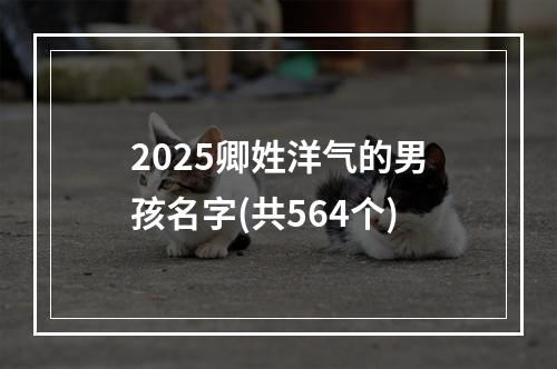 2025卿姓洋气的男孩名字(共564个)