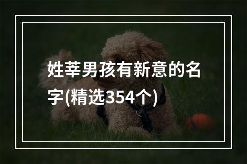 姓莘男孩有新意的名字(精选354个)
