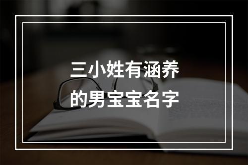 三小姓有涵养的男宝宝名字