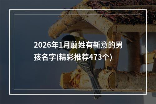 2026年1月翦姓有新意的男孩名字(精彩推荐473个)
