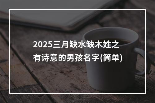 2025三月缺水缺木姓之有诗意的男孩名字(简单)