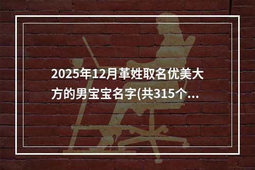 2025年12月革姓取名优美大方的男宝宝名字(共315个)