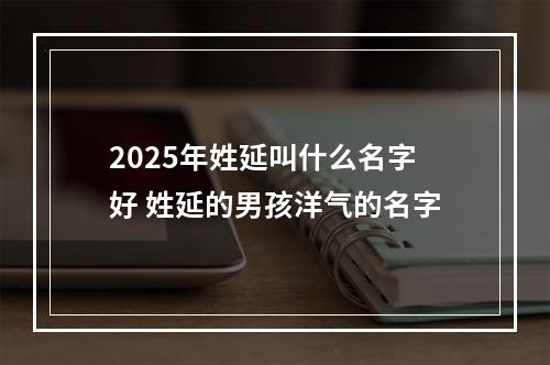 2025年姓延叫什么名字好 姓延的男孩洋气的名字