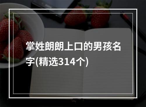掌姓朗朗上口的男孩名字(精选314个)