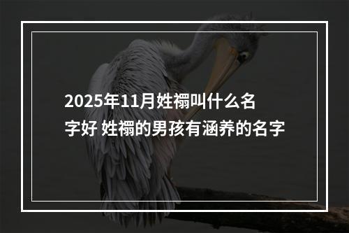 2025年11月姓禤叫什么名字好 姓禤的男孩有涵养的名字