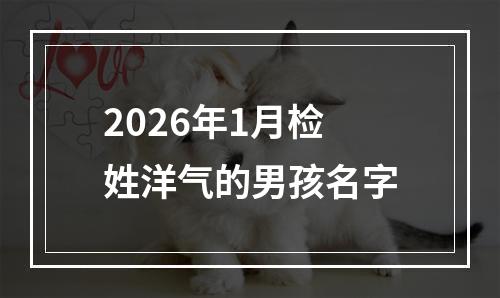 2026年1月检姓洋气的男孩名字