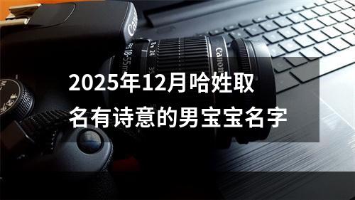 2025年12月哈姓取名有诗意的男宝宝名字