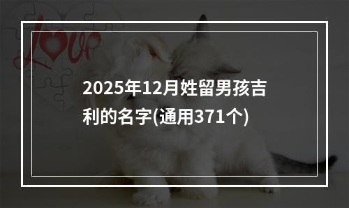 2025年12月姓留男孩吉利的名字(通用371个)