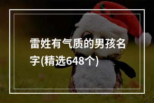 雷姓有气质的男孩名字(精选648个)