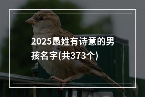 2025愚姓有诗意的男孩名字(共373个)