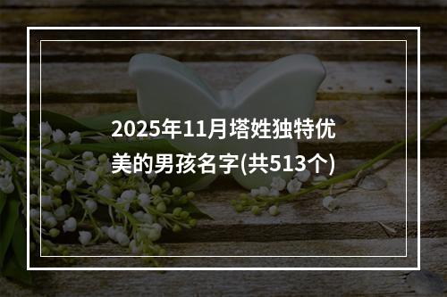 2025年11月塔姓独特优美的男孩名字(共513个)