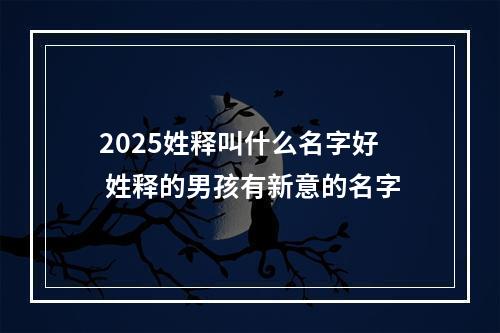 2025姓释叫什么名字好 姓释的男孩有新意的名字