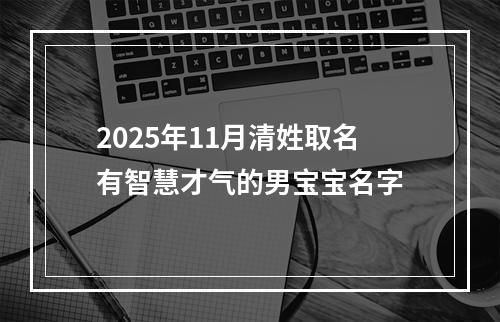 2025年11月清姓取名有智慧才气的男宝宝名字
