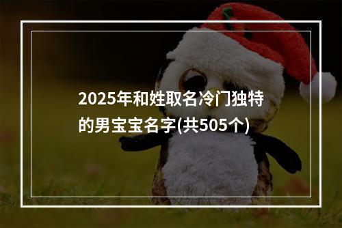 2025年和姓取名冷门独特的男宝宝名字(共505个)