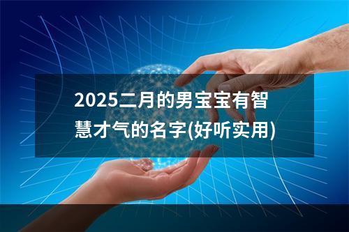 2025二月的男宝宝有智慧才气的名字(好听实用)