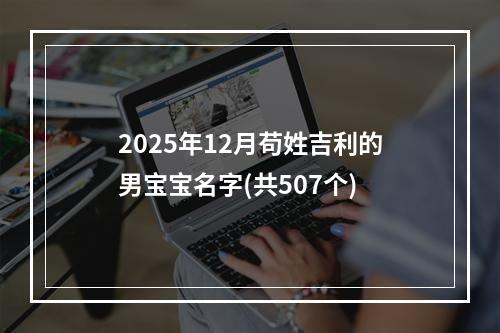 2025年12月苟姓吉利的男宝宝名字(共507个)