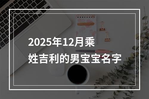 2025年12月乘姓吉利的男宝宝名字
