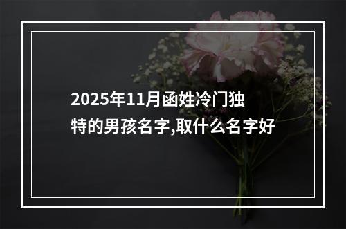 2025年11月函姓冷门独特的男孩名字,取什么名字好