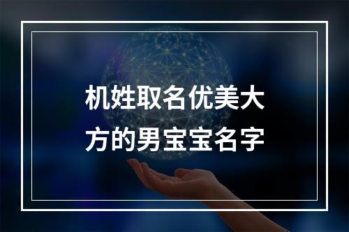 机姓取名优美大方的男宝宝名字