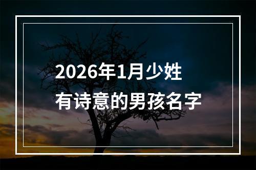 2026年1月少姓有诗意的男孩名字
