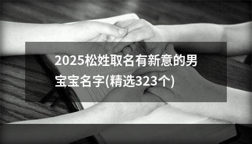 2025松姓取名有新意的男宝宝名字(精选323个)