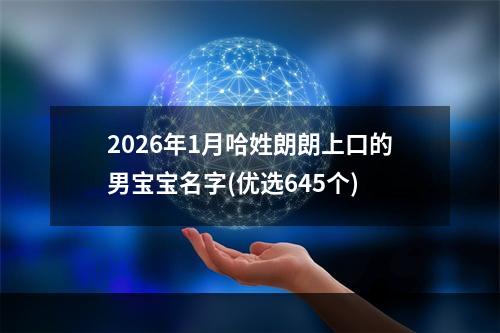 2026年1月哈姓朗朗上口的男宝宝名字(优选645个)