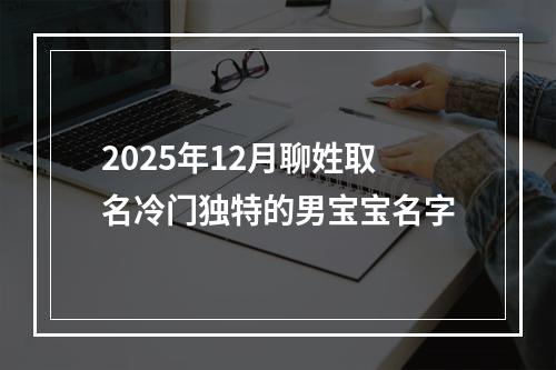 2025年12月聊姓取名冷门独特的男宝宝名字